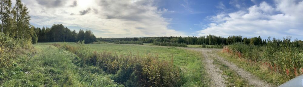 Parliament Of Writers